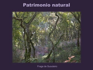Patrimonio natural
Fraga de Suouteiro
 