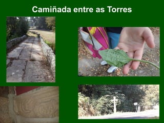 Camiñada entre as Torres
 