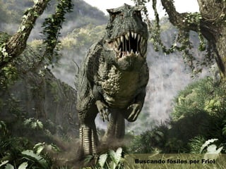 Buscando fósiles por Friol
 