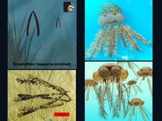 Graptolites (aspecto orixinal)
 