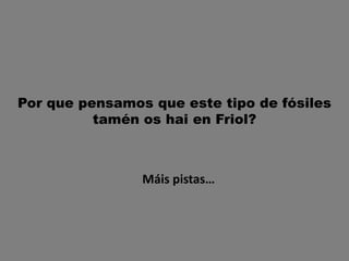 Por que pensamos que este tipo de fósiles
tamén os hai en Friol?
Máis pistas…
 