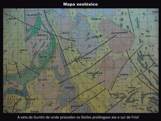 Mapa xeolóxico
A veta de Guntín de onde proceden os fósiles prolóngase ata o sur de Friol
 