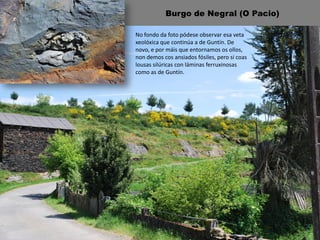 Burgo de Negral (O Pacio)
No fondo da foto pódese observar esa veta
xeolóxica que continúa a de Guntín. De
novo, e por máis que entornamos os ollos,
non demos cos ansiados fósiles, pero si coas
lousas silúricas con láminas ferruxinosas
como as de Guntín.
 