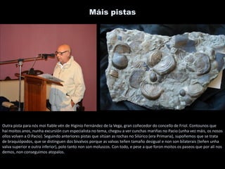 Máis pistas
Outra pista para nós moi fiable vén de Higinio Fernández de la Vega, gran coñecedor do concello de Friol. Contounos que
hai moitos anos, nunha excursión cun especialista no tema, chegou a ver cunchas mariñas no Pacio (unha vez máis, os nosos
ollos volven a O Pacio). Seguindo anteriores pistas que sitúan as rochas no Silúrico (era Primaria), supoñemos que se trata
de braquiópodos, que se distinguen dos bivalvos porque as valvas teñen tamaño desigual e non son bilaterais (teñen unha
valva superior e outra inferior), polo tanto non son moluscos. Con todo, e pese a que foron moitos os paseos que por alí nos
demos, non conseguimos atopalos.
 