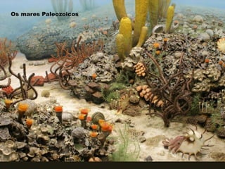 Os mares Paleozoicos
 