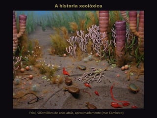 A historia xeolóxica
Friol, 500 millóns de anos atrás, aproximadamente (mar Cámbrico)
 