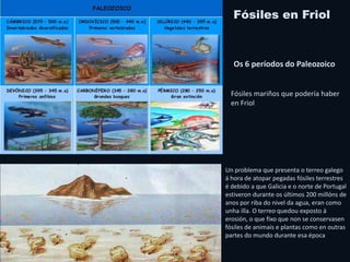 Fósiles en Friol: primeiras pistas
As primeiras mostras de fósiles de Galicia foron recollidas por Isidro Parga Pondal nos...