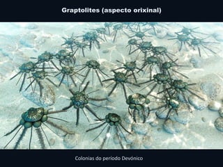 Graptolites (aspecto orixinal)
 