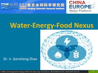 © NHRI | 223 Guangzhou Rd., Nanjing 210029, P.R. China | http://www.nhri.cn | +86-25-8582-8116 (T) | +86-25-8373-4321 (F) P. 1
Water-Energy-Food Nexus
Dr. ir. Gensheng Zhao
 