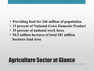 Agriculture Sector at Glance
• Providing food for 246 million of population.
• 13 percent of National Gross Domestic Produ...