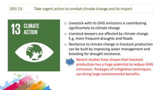 Overview of Livestock Contributions to the Sustainable Development Goals