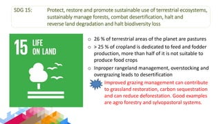 Overview of Livestock Contributions to the Sustainable Development Goals