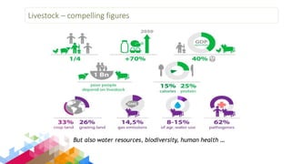 Overview of Livestock Contributions to the Sustainable Development Goals