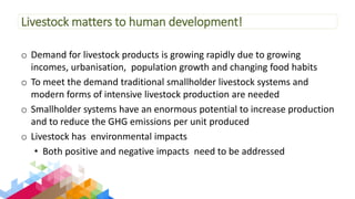 Overview of Livestock Contributions to the Sustainable Development Goals