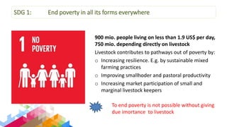 Overview of Livestock Contributions to the Sustainable Development Goals