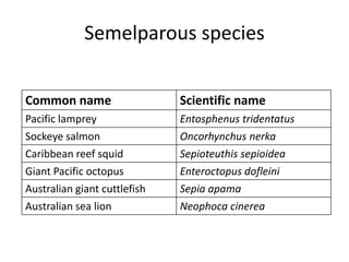 Reproductive cycles - Semelparity & Iteroparity Maturation & Maturity ...