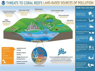 Frm 607 threats to coral reef b9 copy | PPTX