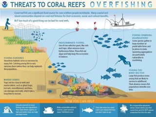 Frm 607 threats to coral reef b9 copy | PPTX