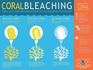 Frm 607 threats to coral reef b9 copy | PPTX