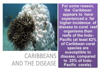 Frm 607 threats to coral reef b9 copy | PPTX