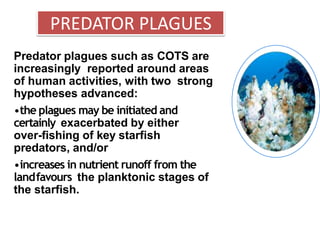 Cots Preditors Frm 607 threats to coral reef b9 copy | PPTX