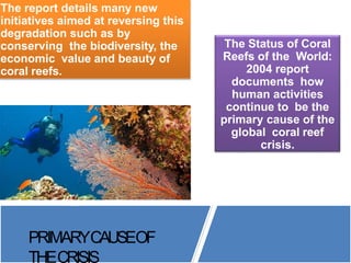 Frm 607 threats to coral reef b9 copy | PPTX