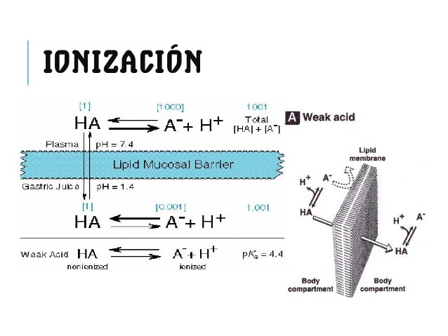 Que Es La Ionizacion De Un Farmaco