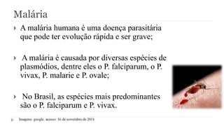 Malária
 A malária humana é uma doença parasitária
que pode ter evolução rápida e ser grave;
 A malária é causada por diversas espécies de
plasmódios, dentre eles o P. falciparum, o P.
vivax, P. malarie e P. ovale;
 No Brasil, as espécies mais predominantes
são o P. falciparum e P. vivax.
 