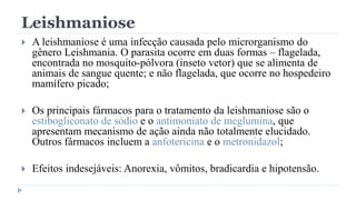 Leishmaniose
 A leishmaniose é uma infecção causada pelo microrganismo do
gênero Leishmania. O parasita ocorre em duas formas – flagelada,
encontrada no mosquito-pólvora (inseto vetor) que se alimenta de
animais de sangue quente; e não flagelada, que ocorre no hospedeiro
mamífero picado;
 Os principais fármacos para o tratamento da leishmaniose são o
estibogliconato de sódio e o antimoniato de meglumina, que
apresentam mecanismo de ação ainda não totalmente elucidado.
Outros fármacos incluem a anfotericina e o metronidazol;
 Efeitos indesejáveis: Anorexia, vômitos, bradicardia e hipotensão.
 