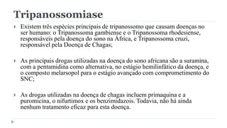 Tripanossomiase
 Existem três espécies principais de tripanossomo que causam doenças no
ser humano: o Tripanossoma gambiense e o Tripanossoma rhodesiense,
responsáveis pela doença do sono na África, e Tripanossoma cruzi,
responsável pela Doença de Chagas;
 As principais drogas utilizadas na doença do sono africana são a suramina,
com a pentamidina como alternativa, no estágio hemilinfático da doença, e
o composto melarsopol para o estágio avançado com comprometimento do
SNC;
 As drogas utilizadas na doença de chagas incluem primaquina e a
puromicina, o nifurtimox e os benzimidazois. Todavia, não há ainda
nenhum tratamento eficaz para esta doença.
 
