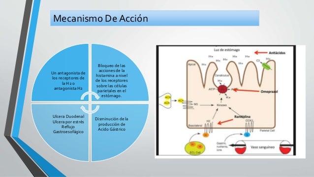 Fármacos antiácidos y protectores de la mucosa gástrica