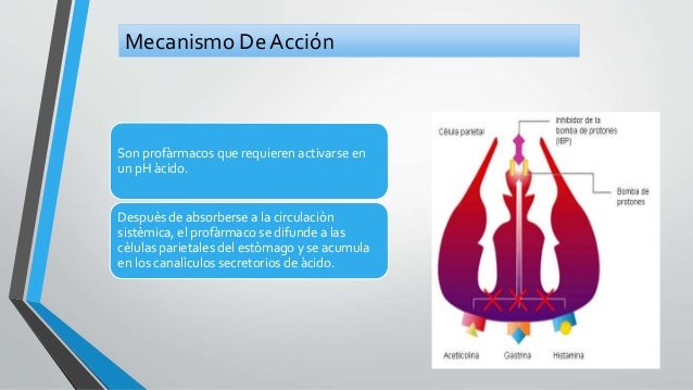 Fármacos antiácidos y protectores de la mucosa gástrica