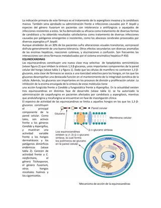 La indicación primaria de este fármaco es el tratamiento de la aspergilosis invasiva y la candidiasis
masiva. También sena aprobado su administración frente a infecciones causadas por P. boydii y
especies del género Fusarium en pacientes con intolerancia a antifúngicos o aquejados de
infecciones resistentes a estos. Se ha demostrado su eficacia como tratamiento de diversas formas
de candidiasis y ha obtenido resultados satisfactorios como tratamiento de diversas infecciones
causadas por patógenos emergentes o resistentes, como los abscesos cerebrales provocados por
diversos aspergilos y P. boydii.
Aunque alrededor de un 30% de los pacientes sufre alteraciones visuales transitorias, voriconazol
disfruta generalmente de una buena tolerancia. Otros efectos secundarios son diversas anomalías
de las enzimas hepáticas, reacciones cutáneas, y alucinaciones o confusión. Son frecuentes las
interacciones con otros fármacos metabolizados por el sistema enzimático hepático P-450.
EQUINOCANDINAS
Las equinocandinas constituyen una nueva clase muy selectiva de lipopéptidos semisintéücos
(véase figura 2) que inhiben la síntesis 1,3 β-glucanos, unos importantes componentes de la pared
celular del hongo (véase tabla 1 y figura 1). Dado que las células de mamífero no contienen 1,3 β-
glucanos, esta clase de fármacos se asocia a una toxicidad selectiva para los hongos, en los que los
glucanos desempeñan una destacada función en el mantenimiento de la integridad osmótica de la
célula. Además, los glucanos son importantes en los procesos de división y proliferación celular. La
inhibición de la enzima encargada de la síntesis de estas moléculas tiene
una acción fungicida frente a Candida y fungostática frente a Aspergillus. En la actualidad existen
tres equinocandinas en distintas fase de desarrollo (véase tabla 1): se ha autorizado la
administración de caspofungina en pacientes afectados por candidiasis y aspergilosis, mientras
que anidulafungina y micafungina se encuentran en fase de investigación clínica.
El espectro de actividad de las equinocandinas se limita a aquellos hongos en los que los 1,3 β-
glucanos constituyen
el            principal
componente de la
pared celular. Como
tales, son activos
frente a los géneros
Candida y Aspergillus,
y     muestran      una
actividad      variable
frente a los hongos
dermatiáceos y los
patógenos dimórficos
endémicos        (véase
tabla 2). Carecen de
actividad frente a C.
neoformans,           el
género Tiichosporon,
el género Fusarium,
otros           hongos
miceliales hialinos y
los cigomicetos.

                                                 Mecanismo de acción de la equinocandinas
 