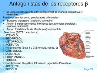 Antagonistas de los receptores β
•

se unen selectivamente a los receptoresβ de manera competitiva y
reversible.
Pueden presentar como propiedades adicionales:
• Bloqueoα agregado (labetalol, carvedilol)
• Acción Simpáticomimética Intrínseca (antagonistas parciales).
(pindolol,celiprolol).
• Acción Estabilizante de Membrana(propranolol)
Selectivos (BETA 1 cardíacos):
‹ ATENOLOL
‹ BISOPROLOL
‹ METOPROLOL
‹ ACEBUTOL
‹ No Selectivos (Beta 1 y 2):Bronquio, vasos, útero.
‹ CARVEDILOL
‹ LABETALOL
‹ PROPRANOLOL
‹ TIMOLOL
‹ Con Actividad Simpática Intrínseca: (agonistas Parciales)
‹ ACEBUTOL
Page 28
‹ PINDOLO

 