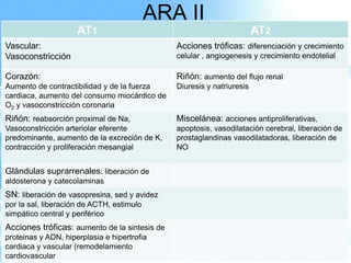 ARA II
AT1

AT2

Vascular:
Vasoconstricción

Acciones tróficas: diferenciación y crecimiento

Corazón:

Riñón: aumento del flujo renal

Aumento de contractibilidad y de la fuerza
cardiaca, aumento del consumo miocárdico de
O2 y vasoconstricción coronaria

Diuresis y natriuresis

Riñón: reabsorción proximal de Na,

Miscelánea: acciones antiproliferativas,

Vasoconstricción arteriolar eferente
predominante, aumento de la excreción de K,
contracción y proliferación mesangial

apoptosis, vasodilatación cerebral, liberación de
prostaglandinas vasodilatadoras, liberación de
NO

celular , angiogenesis y crecimiento endotelial

Glándulas suprarrenales: liberación de
aldosterona y catecolaminas

SN: liberación de vasopresina, sed y avidez
por la sal, liberación de ACTH, estimulo
simpático central y periférico

Acciones tróficas: aumento de la sintesis de
proteinas y ADN, hiperplasia e hipertrofia
cardiaca y vascular (remodelamiento
cardiovascular

Page 63

 