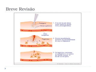 Breve Revisão
 