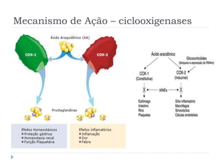 Mecanismo de Ação – ciclooxigenases
 