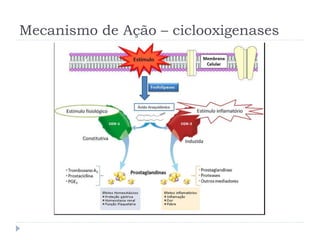 Mecanismo de Ação – ciclooxigenases
 