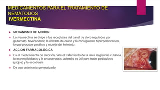 MEDICAMENTOS PARA EL TRATAMIENTO DE
NEMÁTODOS
IVERMECTINA
 MECANISMO DE ACCION
 La ivermectina se dirige a los receptores del canal de cloro regulados por
glutamato, favoreciendo la entrada de calcio y la consiguiente hiperpolarizacion,
lo que produce parálisis y muerte del helminto.
 ACCION FARMACOLÓGICA
 Es el medicamento de elección para el tratamiento de la larva migratoria cutánea,
la estrongiloidiasis y la oncocercosis, además es útil para tratar pediculosis
(piojos) y la escabiasis.
 De uso veterinario generalizado
 