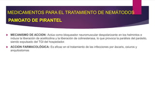 MEDICAMENTOS PARA EL TRATAMIENTO DE NEMÁTODOS
 MECANISMO DE ACCION: Actúa como bloqueador neuromuscular despolarizante en los helmintos e
induce la liberación de acetilcolina y la liberación de colinesterasa, lo que provoca la parálisis del parásito,
siendo expulsado del TGI del hospedador.
 ACCION FARMACOLÓGICA: Es eficaz en el tratamiento de las infecciones por áscaris, oxiuros y
anquilostomas
PAMOATO DE PIRANTEL
 