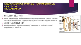 MEDICAMENTOS PARA EL TRATAMIENTO DE
CESTODOS
NICLOSAMIDA
 MECANISMO DE ACCION
 Inhibe la fosforilacion de adenosina difosfato mitocondrial del parásito, lo que la
hace letal para el escólex y los segmentos del parasito pero no los huevecillos
 ACCION FARMACOLÓGICA
 Es una alternativa al prazicuantel en el tratamiento de la teniasis y otras
infecciones por cestodos
 