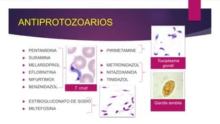 ANTIPROTOZOARIOS
 PENTAMIDINA
 SURAMINA
 MELARSOPROL
 EFLORNITINA
 NIFURTIMOX
 BENZNIDAZOL
 ESTIBOGLUCONATO DE SODIO
 MILTEFOSINA
 PIRIMETAMINE
 METRONIDAZOL
 NITAZOXANIDA
 TINIDAZOL
Giardia lamblia
T. cruzi
Toxoplasma
gondii
 
