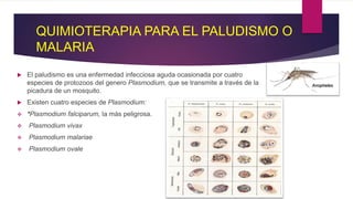 QUIMIOTERAPIA PARA EL PALUDISMO O
MALARIA
 El paludismo es una enfermedad infecciosa aguda ocasionada por cuatro
especies de protozoos del genero Plasmodium, que se transmite a través de la
picadura de un mosquito.
 Existen cuatro especies de Plasmodium:
 *Plasmodium falciparum, la más peligrosa.
 Plasmodium vivax
 Plasmodium malariae
 Plasmodium ovale
Anopheles
 