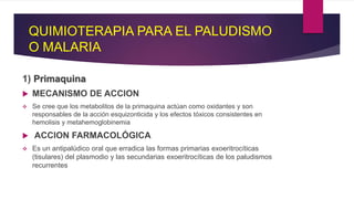 QUIMIOTERAPIA PARA EL PALUDISMO
O MALARIA
1) Primaquina
 MECANISMO DE ACCION
 Se cree que los metabolitos de la primaquina actúan como oxidantes y son
responsables de la acción esquizonticida y los efectos tóxicos consistentes en
hemolisis y metahemoglobinemia
 ACCION FARMACOLÓGICA
 Es un antipalúdico oral que erradica las formas primarias exoeritrocíticas
(tisulares) del plasmodio y las secundarias exoeritrocíticas de los paludismos
recurrentes
 