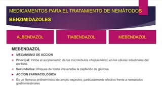 BENZIMIDAZOLES
MEBENDAZOL
 MECANISMO DE ACCION
 Principal: Inhibe el acoplamiento de los microtúbulos citoplasmático en las células intestinales del
parásito.
 Secundarios: Bloquea de forma irreversible la captación de glucosa.
 ACCION FARMACOLÓGICA
 Es un fármaco antihelmíntico de amplio espectro, particularmente efectivo frente a nematodos
gastrointestinales
MEDICAMENTOS PARA EL TRATAMIENTO DE NEMÁTODOS
ALBENDAZOL TIABENDAZOL MEBENDAZOL
 