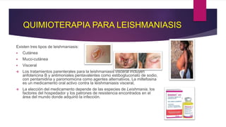 QUIMIOTERAPIA PARA LEISHMANIASIS
Existen tres tipos de leishmaniasis:
 Cutánea
 Muco-cutánea
 Visceral
 Los tratamientos parenterales para la leishmaniasis visceral incluyen
anfotericina B y antimoniales pentavalentes como estibogluconato de sodio,
con pentamidina y paromomicina como agentes alternativos. La miltefosina
es un medicamento oral activo contra la leishmaniasis visceral,
 La elección del medicamento depende de las especies de Leishmania, los
factores del hospedador y los patrones de resistencia encontrados en el
área del mundo donde adquirió la infección.
 