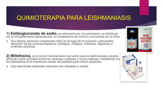 QUIMIOTERAPIA PARA LEISHMANIASIS
1) Estibogluconato de sodio, se administra por vía parenteral y se distribuye
por el compartimiento extravascular, su metabolismo es mínimo y se excreta por la orina
 Sus efectos adversos comprenden dolor en el lugar de la inyección, pancreatitis,
elevación de las enzimas hepáticas, artralgias, mialgias, molestias, digestivas y
arritmias cardiacas.
2) Miltefosina, es el primer medicamento oral activo para la leishmaniasis visceral,
teniendo cierta actividad contra las variantes cutáneas y muco-cutáneas, interfiriendo con
los fosfolípidos en la membrana celular del parásito para inducir apoptosis.
 Las reacciones adversas comunes son nauseas y vomito
 