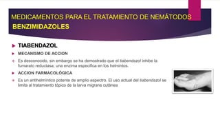  TIABENDAZOL
 MECANISMO DE ACCION
 Es desconocido, sin embargo se ha demostrado que el tiabendazol inhibe la
fumarato reductasa, una enzima especifica en los helmintos.
 ACCION FARMACOLÓGICA
 Es un antihelmíntico potente de amplio espectro. El uso actual del tiabendazol se
limita al tratamiento tópico de la larva migrans cutánea
MEDICAMENTOS PARA EL TRATAMIENTO DE NEMÁTODOS
BENZIMIDAZOLES
 