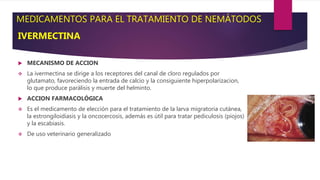 MEDICAMENTOS PARA EL TRATAMIENTO DE NEMÁTODOS
IVERMECTINA
 MECANISMO DE ACCION
 La ivermectina se dirige a los receptores del canal de cloro regulados por
glutamato, favoreciendo la entrada de calcio y la consiguiente hiperpolarizacion,
lo que produce parálisis y muerte del helminto.
 ACCION FARMACOLÓGICA
 Es el medicamento de elección para el tratamiento de la larva migratoria cutánea,
la estrongiloidiasis y la oncocercosis, además es útil para tratar pediculosis (piojos)
y la escabiasis.
 De uso veterinario generalizado
 