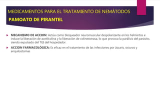 MEDICAMENTOS PARA EL TRATAMIENTO DE NEMÁTODOS
 MECANISMO DE ACCION: Actúa como bloqueador neuromuscular despolarizante en los helmintos e
induce la liberación de acetilcolina y la liberación de colinesterasa, lo que provoca la parálisis del parásito,
siendo expulsado del TGI del hospedador.
 ACCION FARMACOLÓGICA: Es eficaz en el tratamiento de las infecciones por áscaris, oxiuros y
anquilostomas
PAMOATO DE PIRANTEL
 